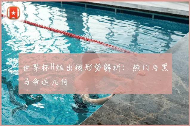 世界杯H组出线形势解析：热门与黑马命运几何