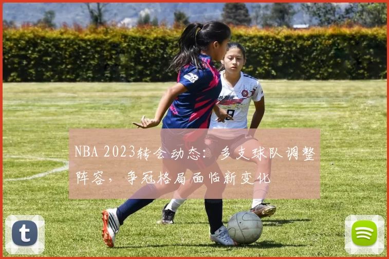 NBA 2023转会动态：多支球队调整阵容，争冠格局面临新变化
