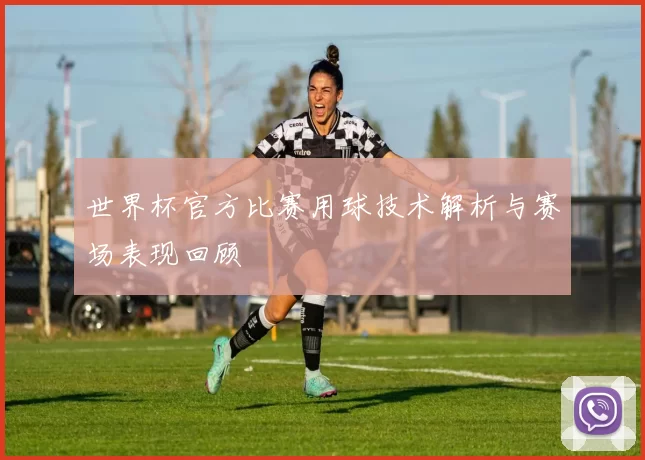 世界杯官方比赛用球技术解析与赛场表现回顾