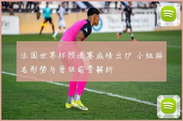 法国世界杯预选赛成绩出炉 小组排名形势与晋级前景解析